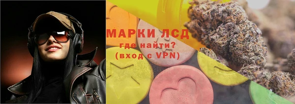 индика Баксан