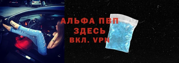 индика Баксан