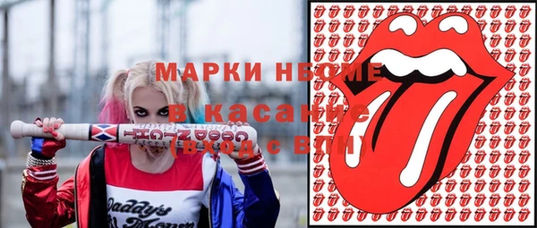 индика Баксан