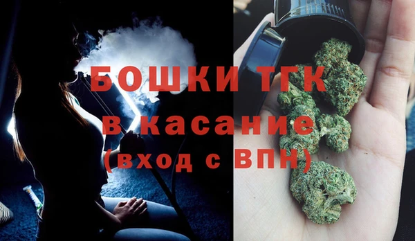 индика Баксан