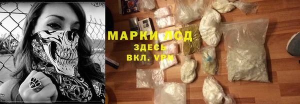 индика Баксан