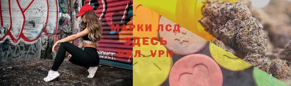 трава Арсеньев