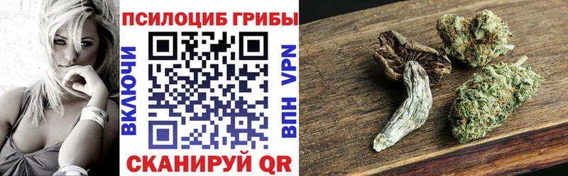 где найти наркотики  Кувандык  Псилоцибиновые грибы мухоморы 