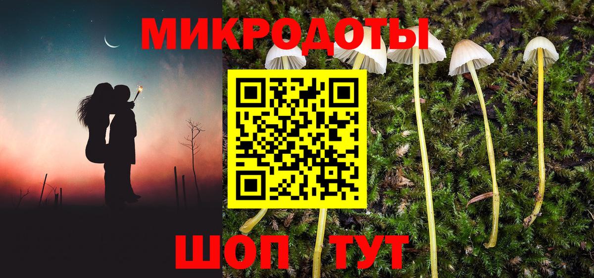 Галлюциногенные грибы Psilocybine cubensis  Вход с VPN  Кувандык 