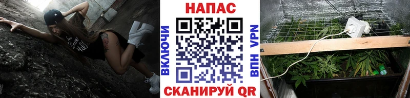 Бошки Шишки планчик Кувандык